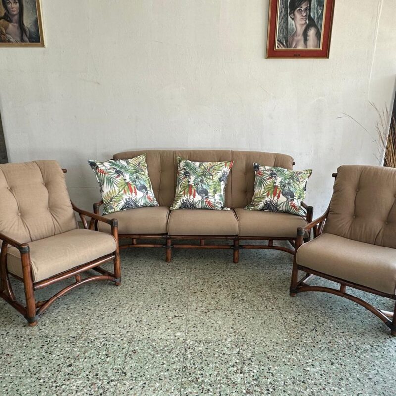 Mid Century Cane Patio Set